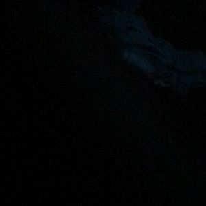 Meet your Posher, Amara